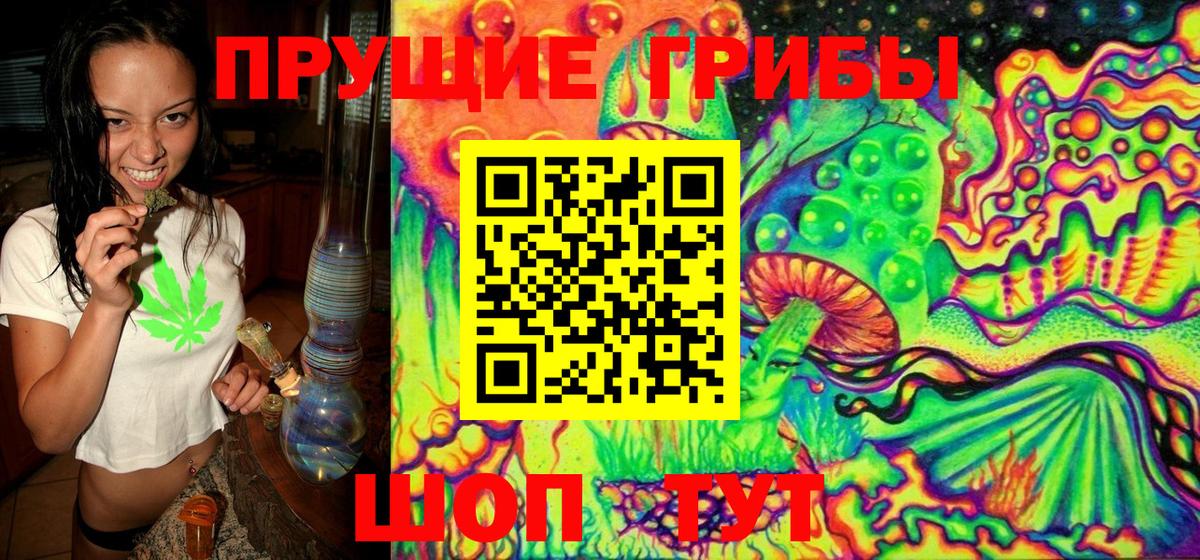 Боровичи  Псилоцибиновые грибы ЛСД  Вход с VPN 